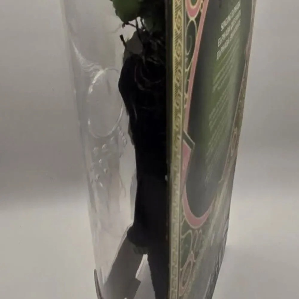 BRAND NEW Mattel Wicked Singing Glinda & Elphaba Dolls Set
